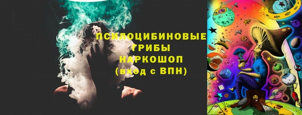 СК Ельня