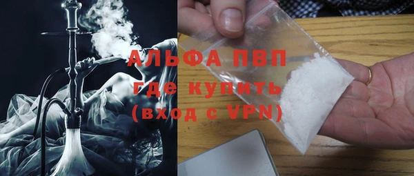 СК Ельня
