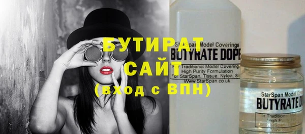 СК Ельня
