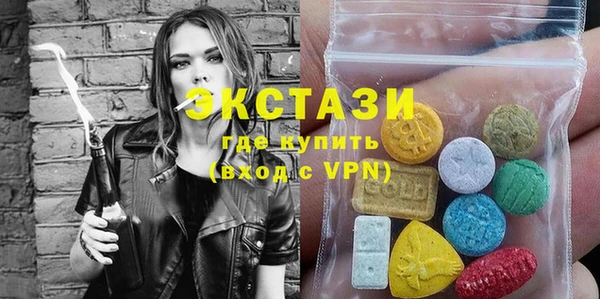 СК Ельня