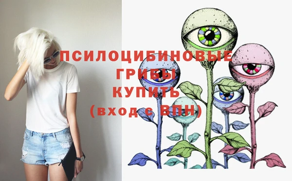 героин Елабуга