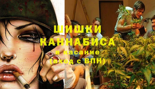 СК Ельня
