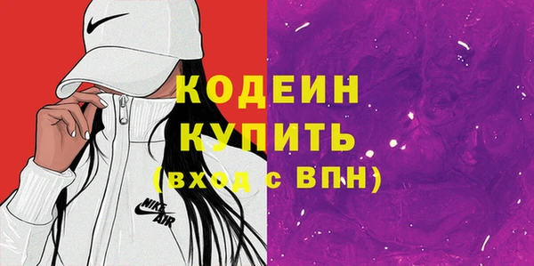 СК Ельня