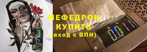 СК Ельня