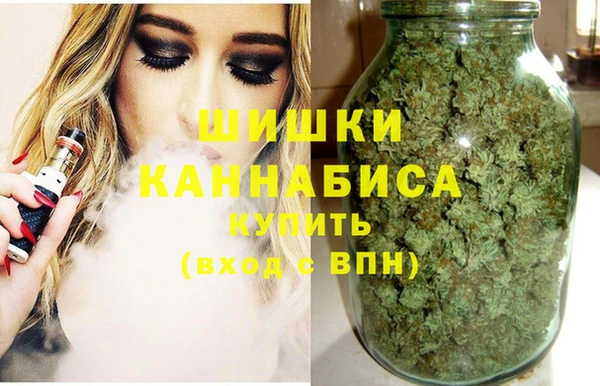 СК Ельня