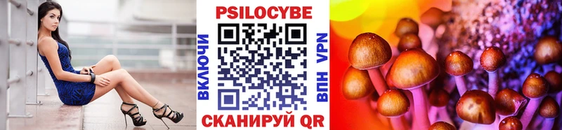 наркотики Нея Галлюциногенные грибы Psilocybe